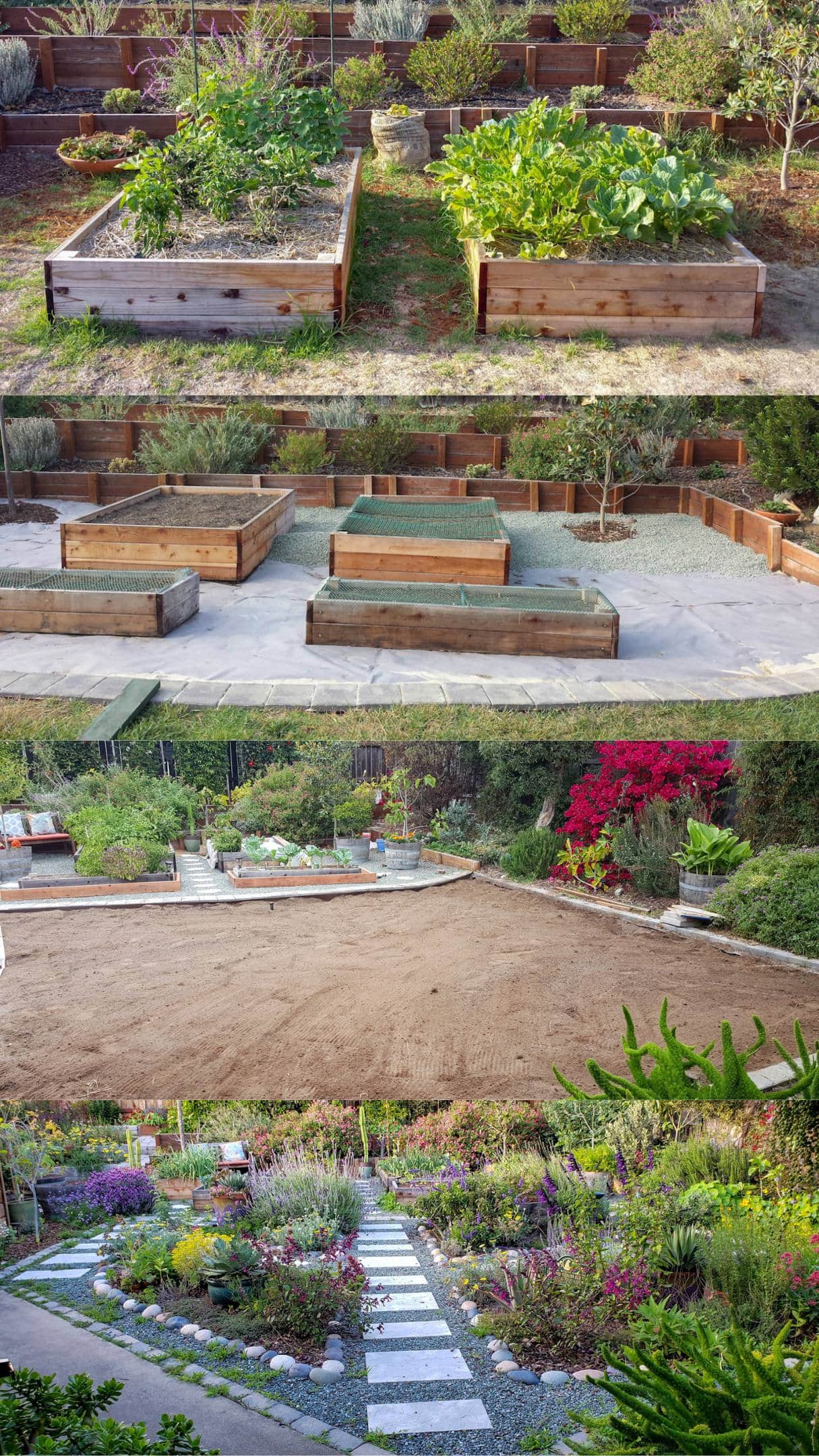 A four part image collage of the process of starting a garden over a number of years. The first image shows two raised beds sitting on top of grass with vegetables growing in both of them. The second image shows the grass removed from the area and covered with landscape fabric and gravel. The third image shows the front grass area in front of the raised beds with the grass fully removed, leaving only dirt. The fourth image shows that area planted out with in ground pollinator plants, with gravel pathways and pavers. 