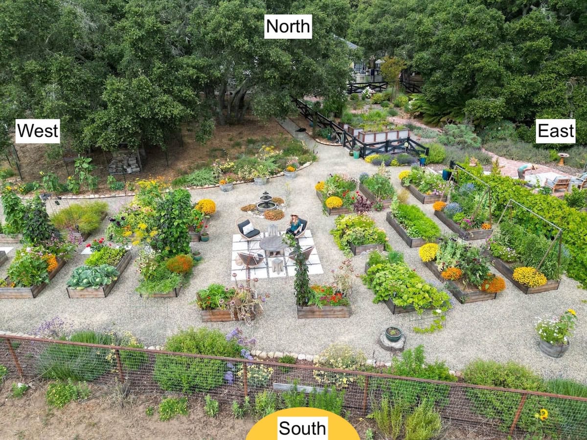 A drone image of a raised garden bed in full summer bloom overflowing with a variety of plants.