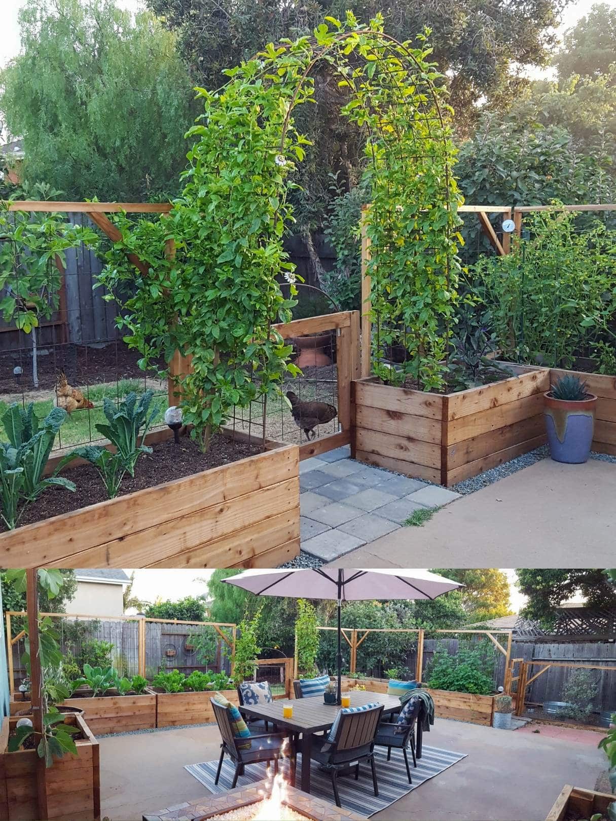 A two part image collage, the first image shows raised beds lined up on the outside of a concrete patio with grass and chickens beyond. The second image shows a concrete patio with a dinning table and chairs in the middle of it. Raised garden beds have been placed around the outside of the patio creating a fence of sorts to the yard beyond. 