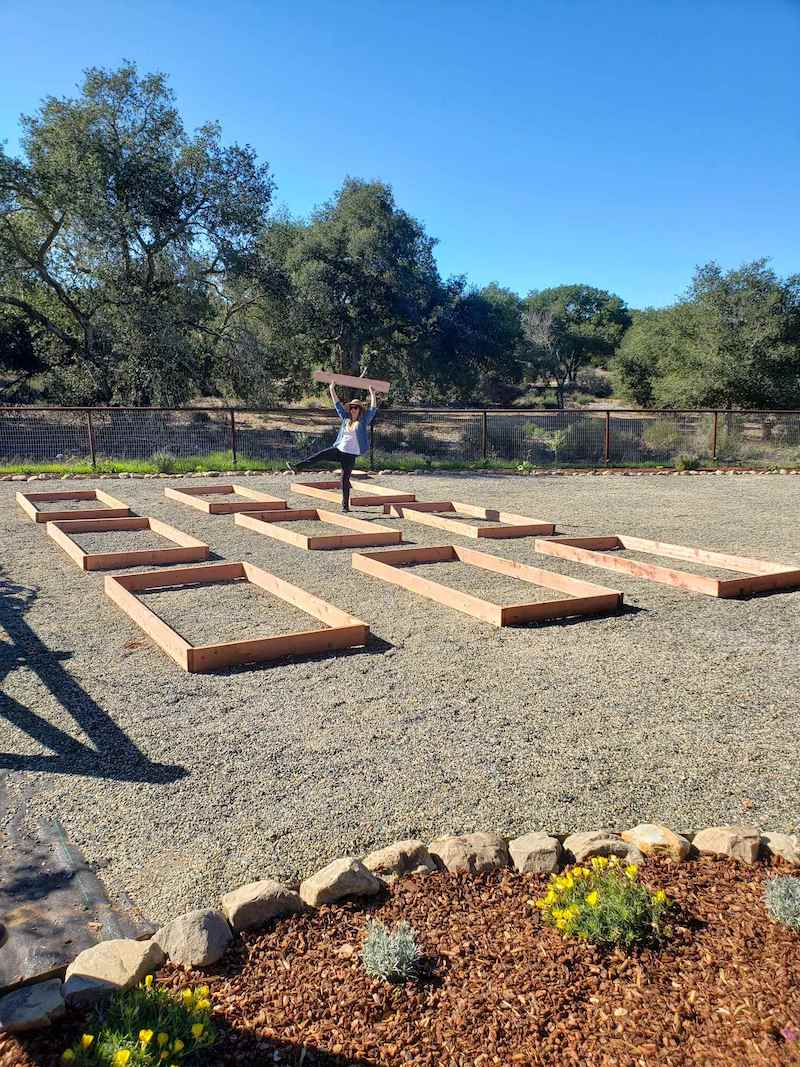 A woman standing in a large gravel garden space before the raised beds have been built and installed, with pieces of wood set up on the ground as if they were the 9 raised beds to get an idea on proper spacing. 