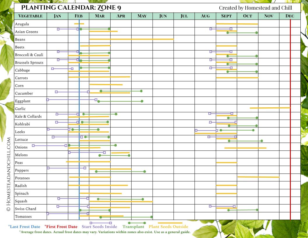 A planting calendar for zone 9 showing the first and last frost date, when to starts seeds inside, transplant outside, and plant seeds directly outside by vegetable type. 