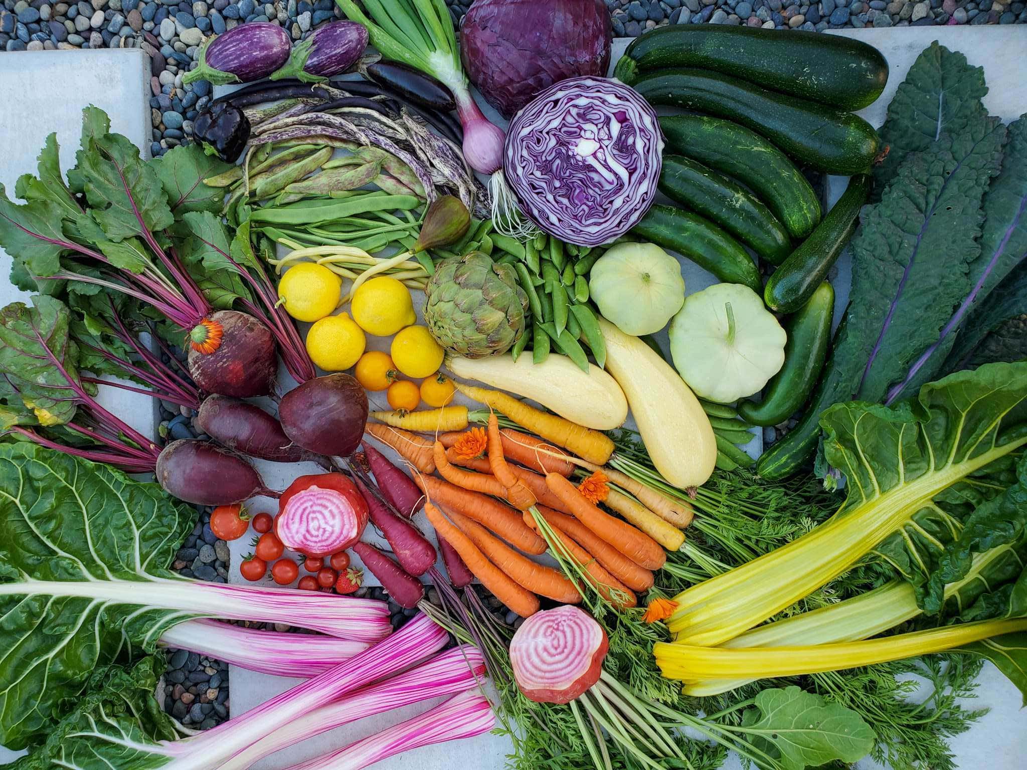 A harvest of carrots, beets, chard, beans, cabbage, onions, eggplant, cucumbers, squash, and kale arranged by color to create a vegetable rainbow harvest. 