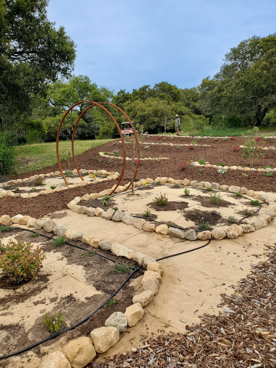 A lightly terraced hillside with pollinator plants and fruit trees planted throughout. Burlap is exposed in one area where the bark mulch hasn't covered yet. 