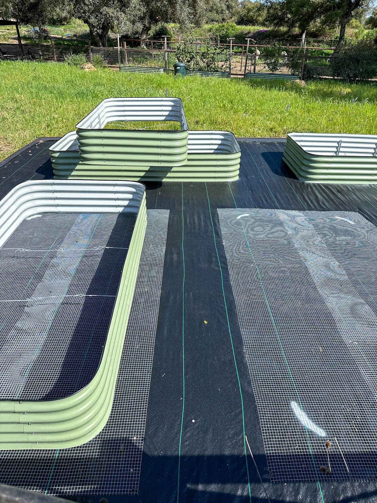 Metal raised beds sitting on top of a prepared space lined with landscape fabric and hardware cloth underneath each bed. 