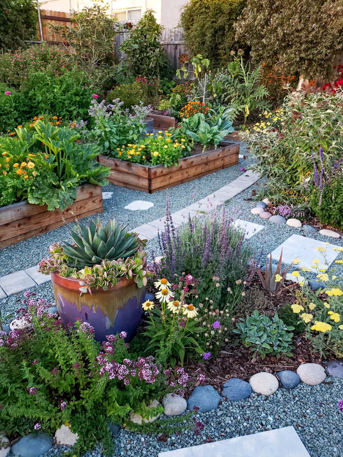 A raised bed garden with flowering perennials planted in the ground around the perimeter of the garden is mulched with gravel. 