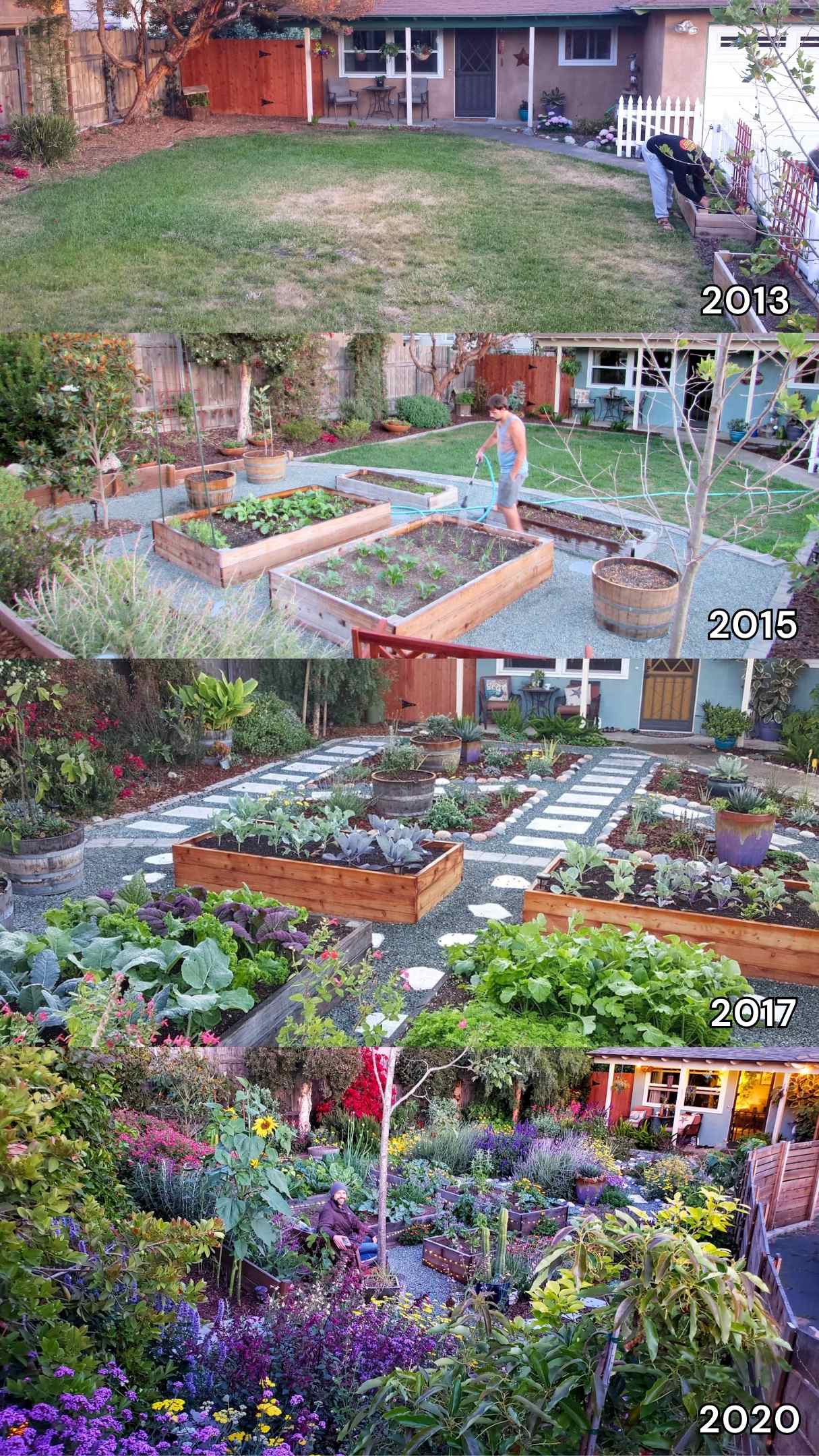 A four part image collage of the progression of starting a new garden with each image stamped with a year. The first image is from 2013 and shows a grassy patch of lawn in front of a brown house. The second image is from 2015 shows a section of the grass removed and replaced with raised beds and gravel hardscape. The third image is from 2017 and shows the entire yard removed of the grass with in ground planting of flowering pollinator plants with gravel pathways with pavers. The fourth image from 2020 shows the entire space overflowing with flowering perennials, fruit trees, and vegetables. 