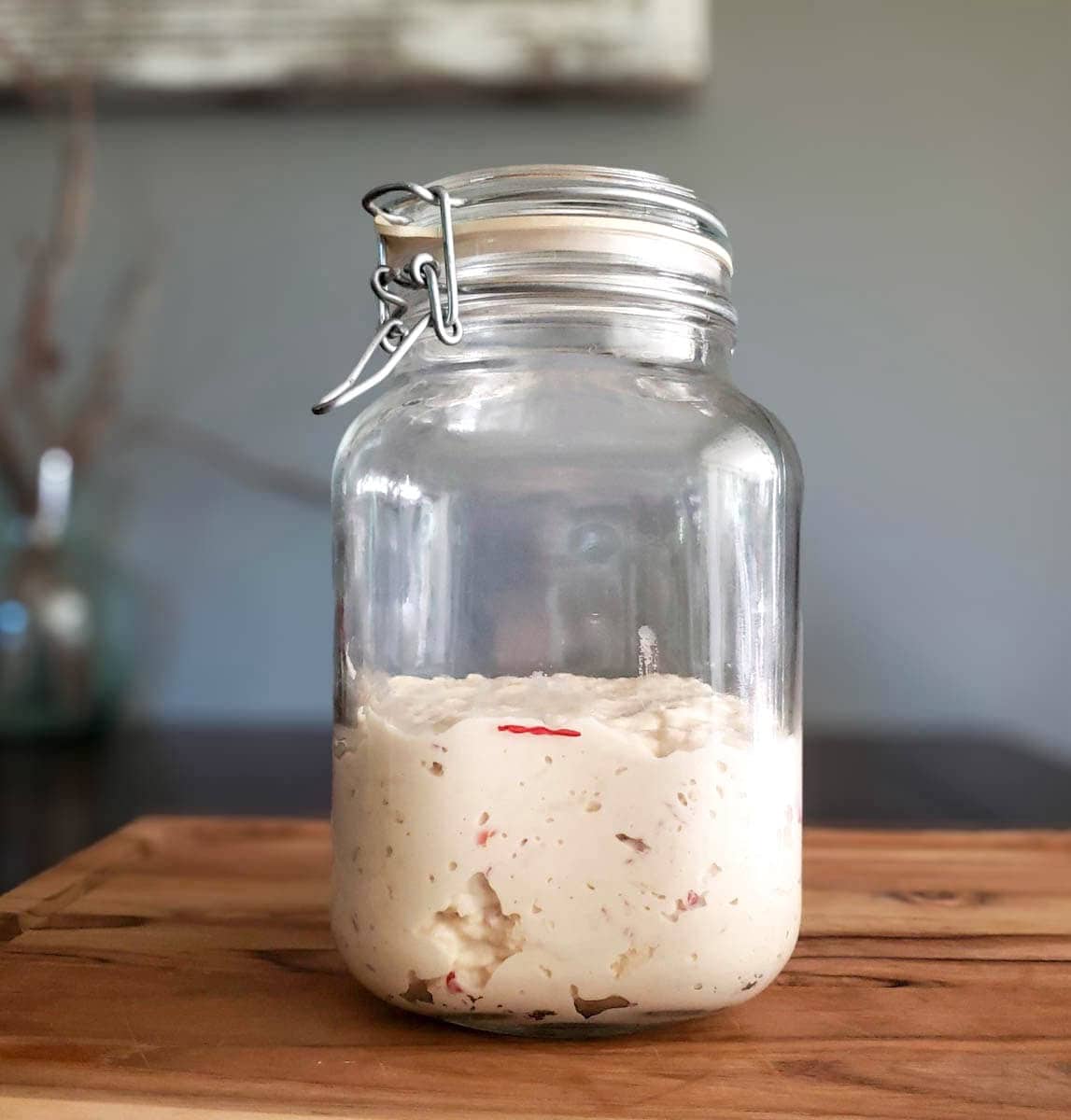 A jar with a young sourdough starter mix inside. A combination of grated organic apple, flour, and water. The jar is marked at the top level of the dough, so we can watch to see if it rises and falls. 