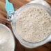 A glass container of sourdough starter sits next to a bowl of flour, a glass measuring cup of water, and a blue silicone spatula.