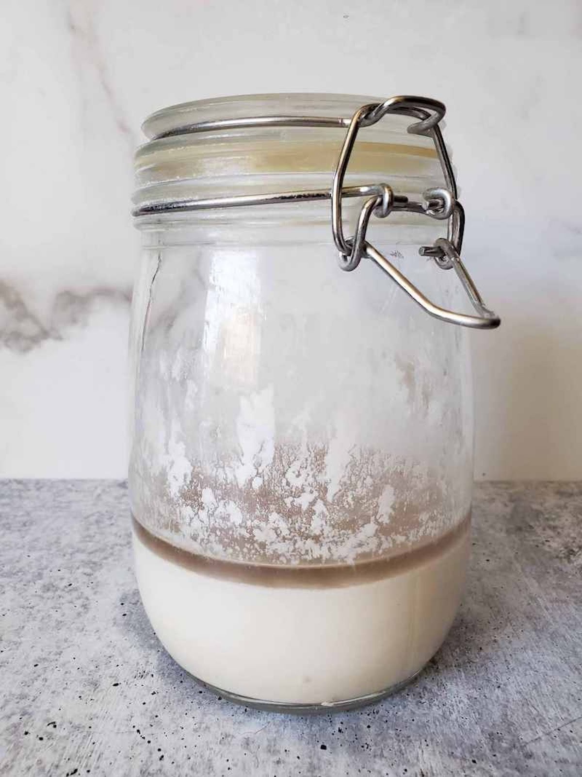 A close up of a jar, where a thin dark layer of liquid or "hooch" has formed on top of sourdough starer.