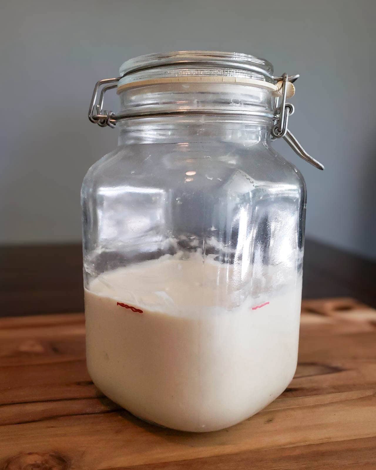 A jar of sourdough starter, after being fed with fresh flour and water, and mixed well. The side of the container is marked with a line so we can watch the rise and fall of the mixture inside. 