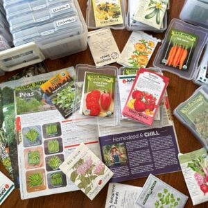 Many seed packets and seed catalogues are laid out on a table. A seed storage box is nearby as well.