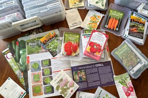 Many seed packets and seed catalogues are laid out on a table. A seed storage box is nearby as well.