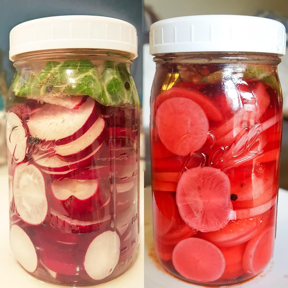 A side by side image (before and after) of a jar of sliced fermented radishes. The first shows the raw radishes sliced with white flesh and red skin, while the second shows the entire jar has turned into a bright pink color after fermentation.