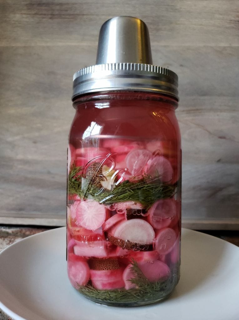 A mason jar full of fermenting homegrown radishes. The liquid in the jar has turned bright pink as the radishes have started to ferment. 