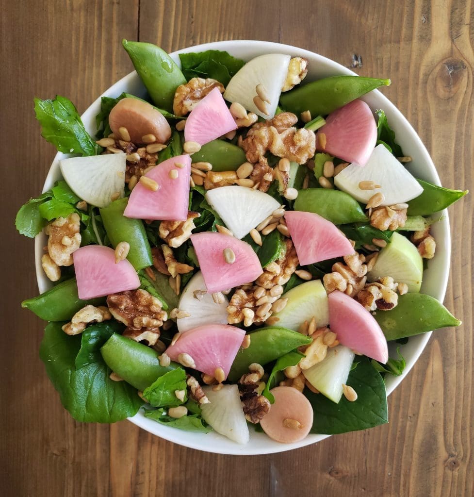 A bowl of garden salad, including romaine, arugula, spinach, snap peas, raw daikon radishes, and fermented radishes. 100% homegrown.
