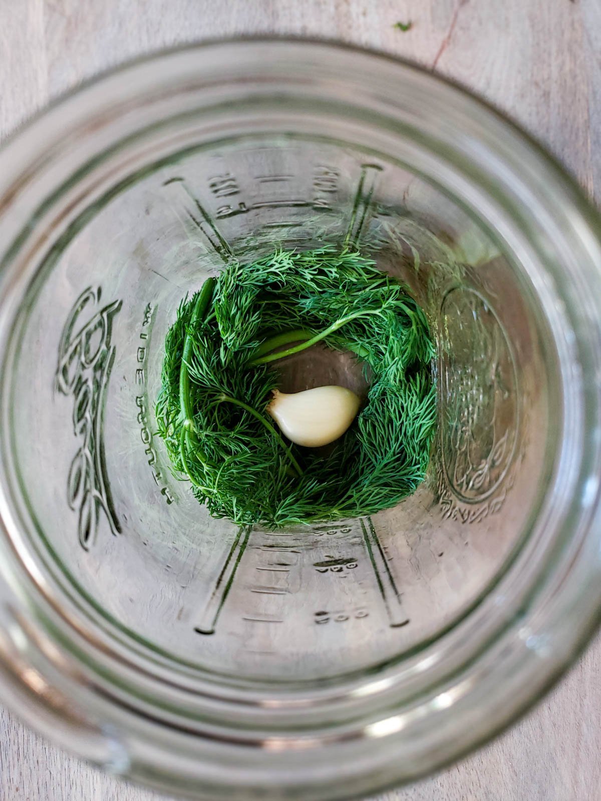 A nearly empty mason jar from above, with a few sprigs of dill and a clove of garlic in the bottom. 