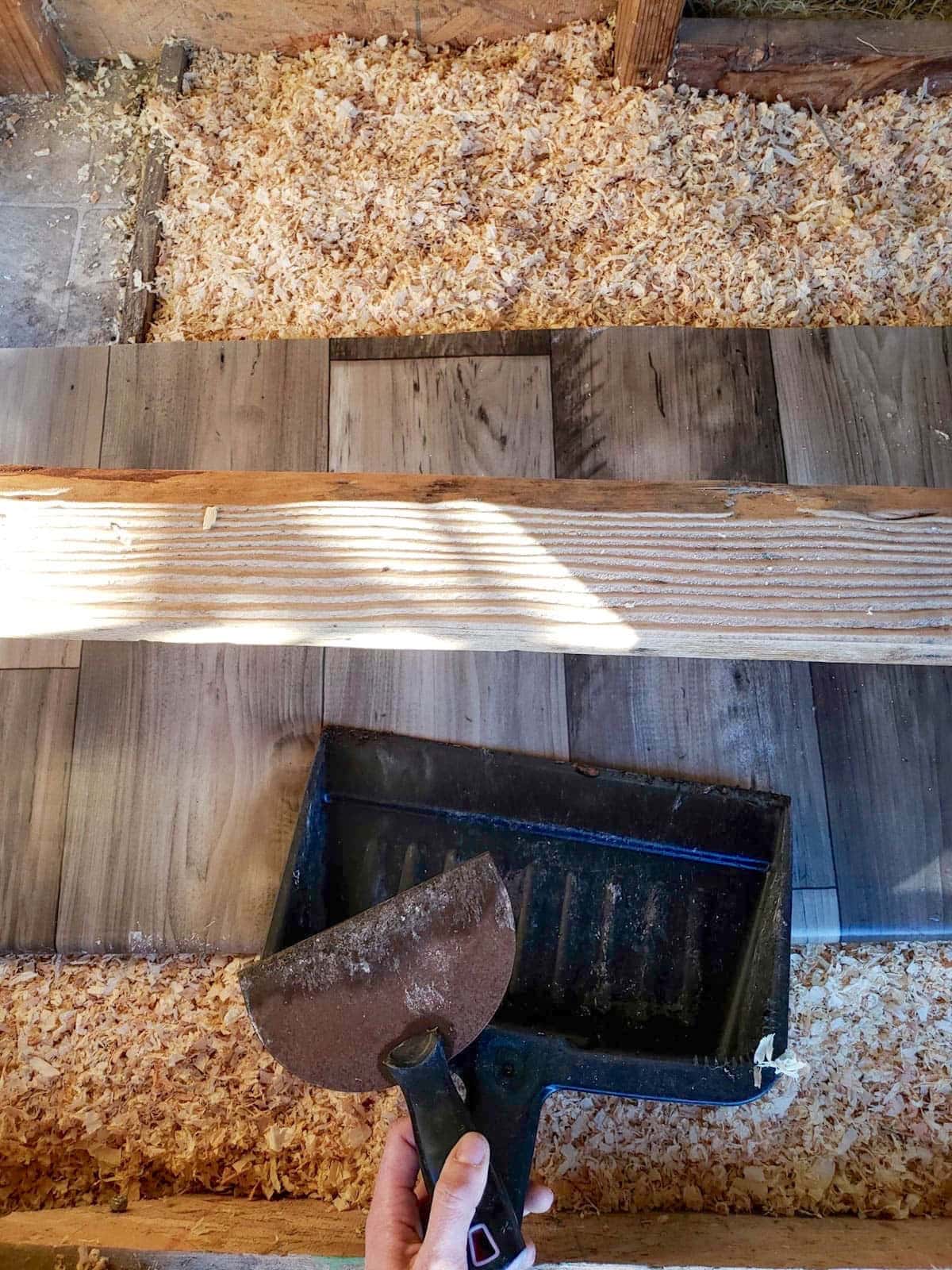 A paint scraper and dustpan rest on top of a poop board inside of a reach in coop.