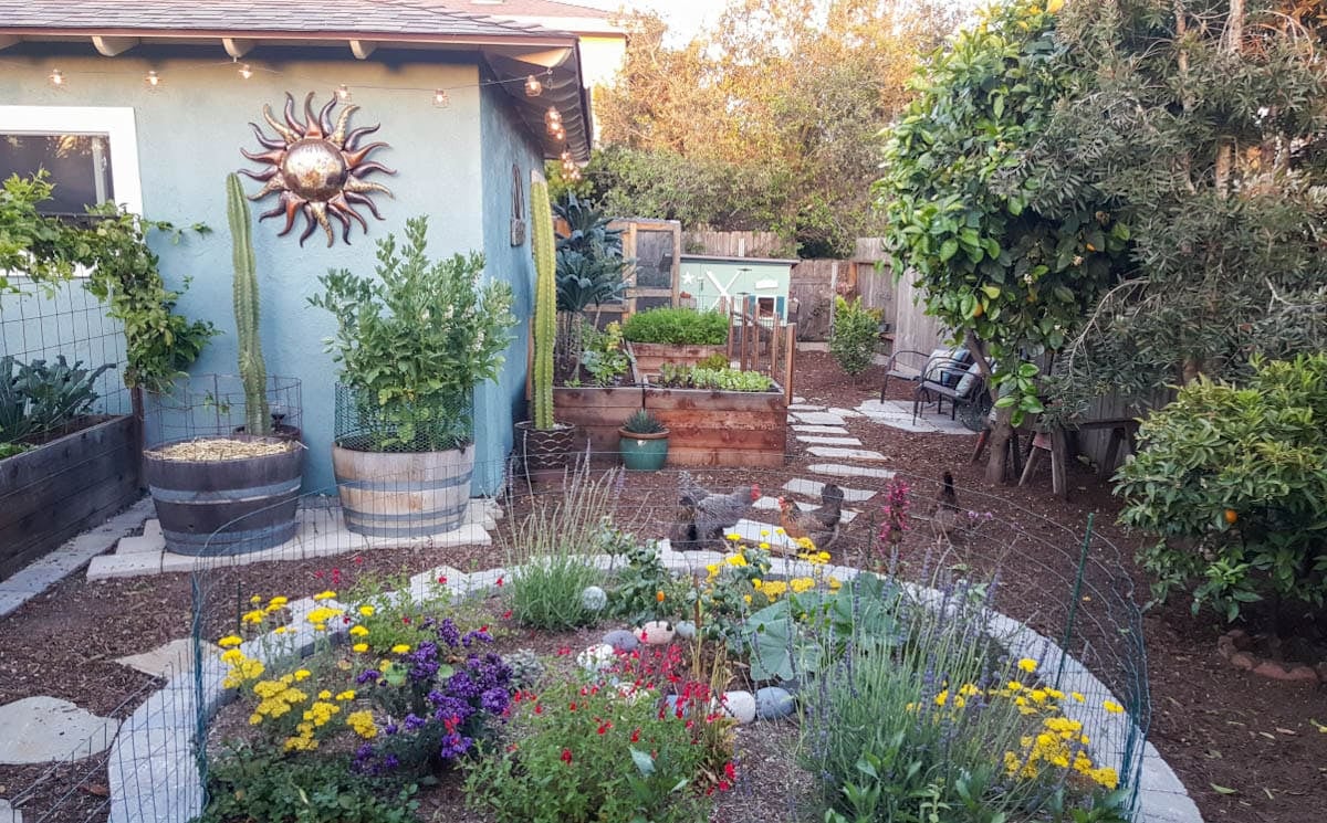 A modest yard space with plants growing in a variety of containers with various types of fencing around each one.