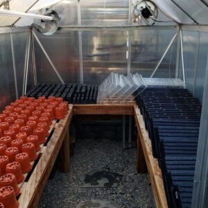 A small 6x8 foot household greenhouse is full of clean seed starting containers like small pots, trays, lids, and 6 packs. They're all lined up on the wood slatted shelves inside the greenhouse