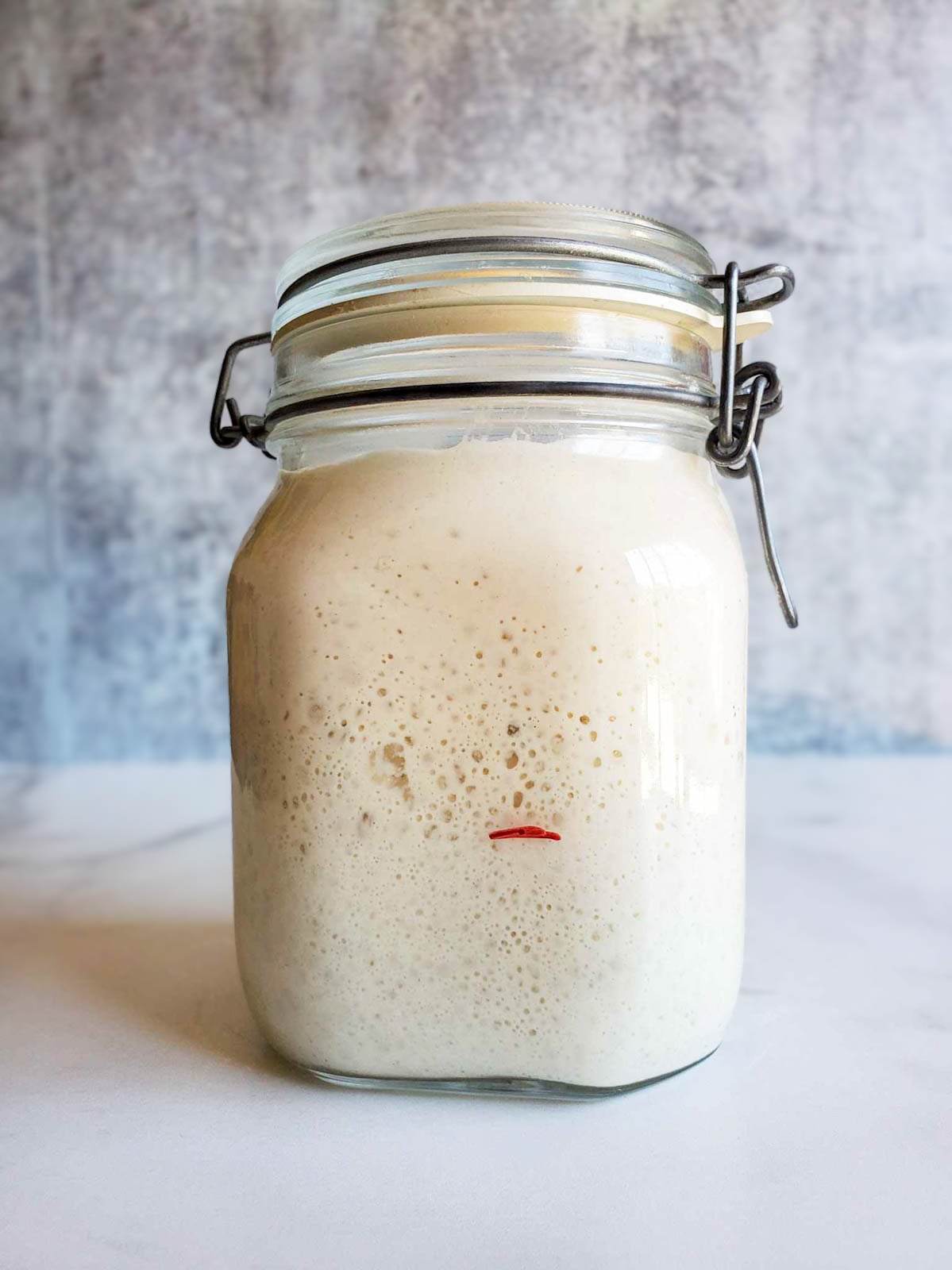 A sourdough starter in a large jar with flip top lid has reached peak activity as it nears the top of the jar which is a great time to start making sourdough bread. 
