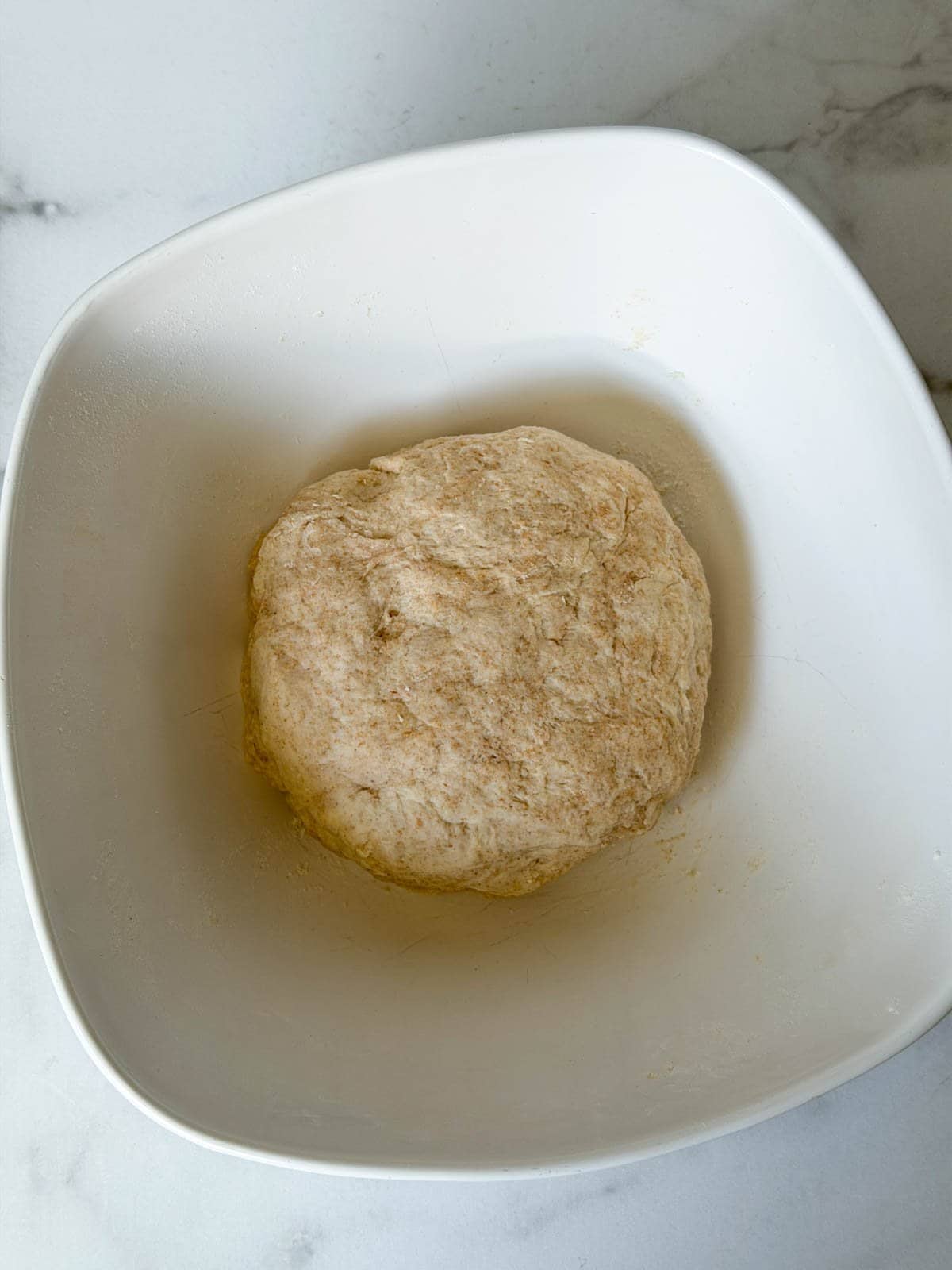 The autolyse of flour and water rests inside of a large bowl after it has been formed into a ball. 