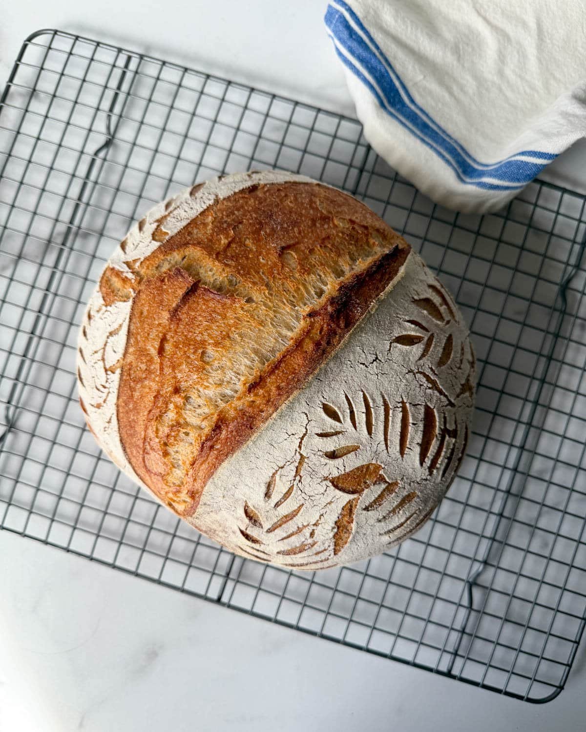 Easy No-Knead Sourdough Bread Recipe (Beginner Friendly)
