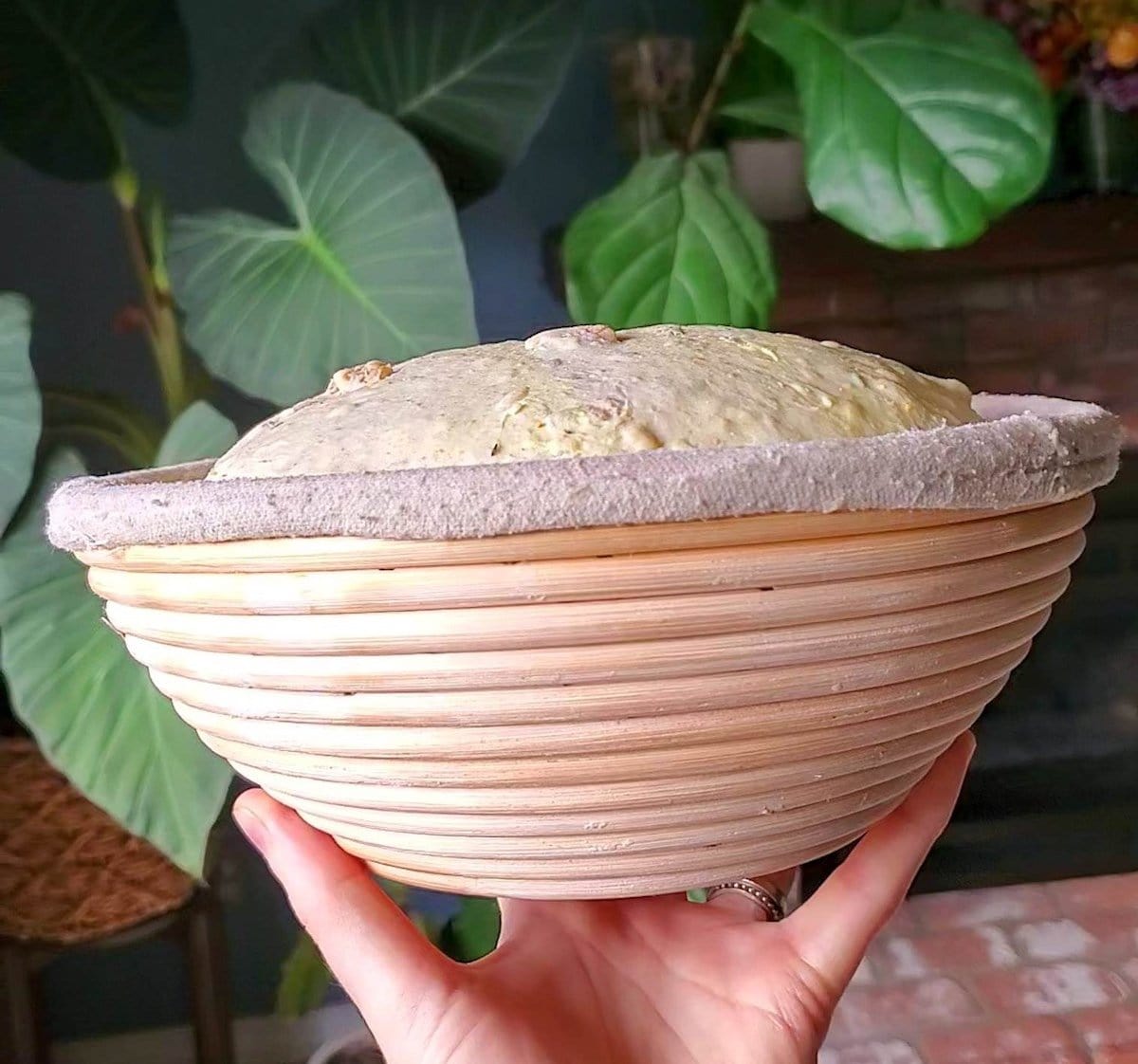 A hand is holding a raw loaf of sourdough after it has proofed in a banneton overnight in the fridge. 