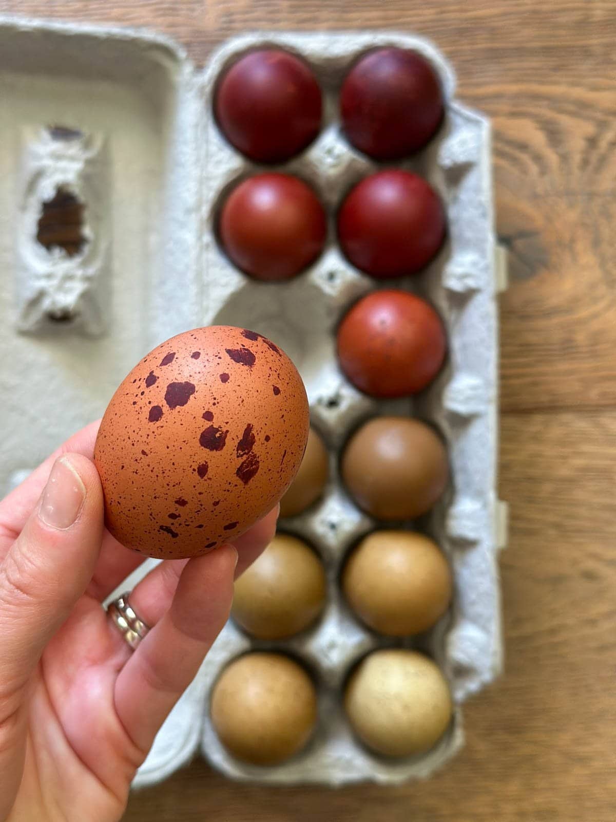 A hand holds an egg that is light brown in color with darker brown speckles. Below is an egg carton which contains a variety of dark brown to khaki green eggs.