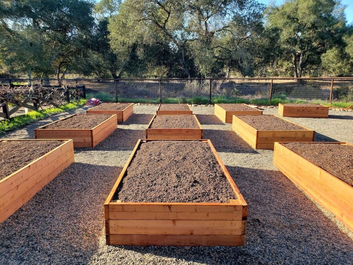 Many newly built wood raised beds that are freshly filled with soil.
