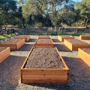 Many newly built wood raised beds that are freshly filled with soil.