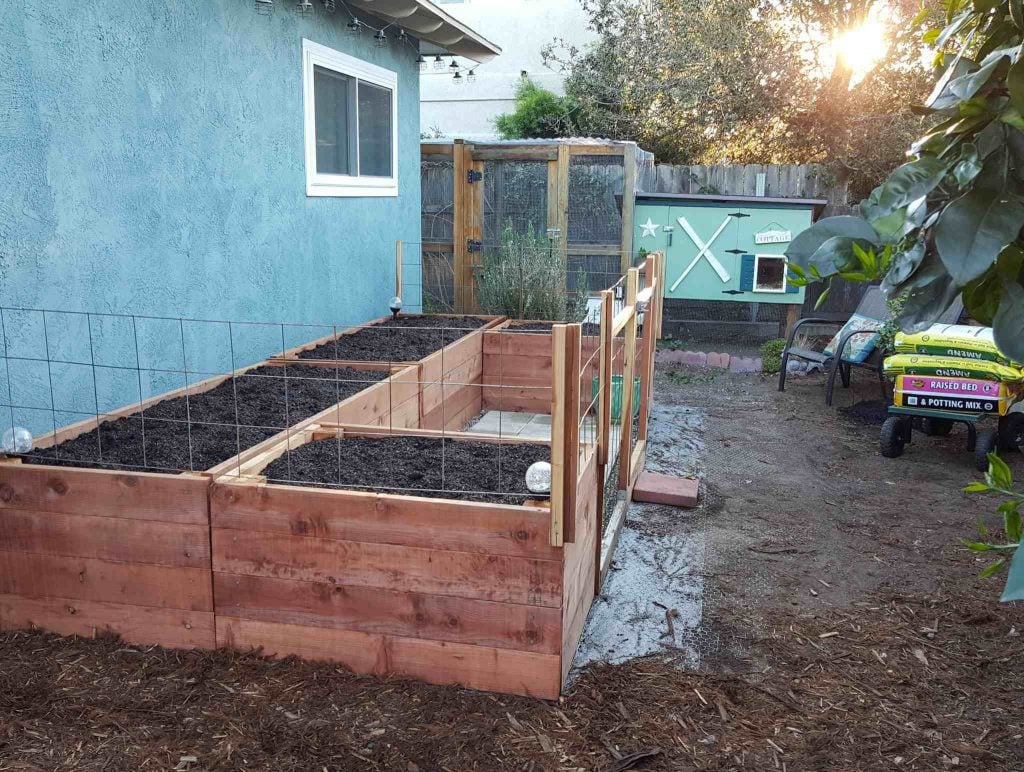 Raised Garden Beds vs. InGround Beds Pros & Cons Homestead and Chill