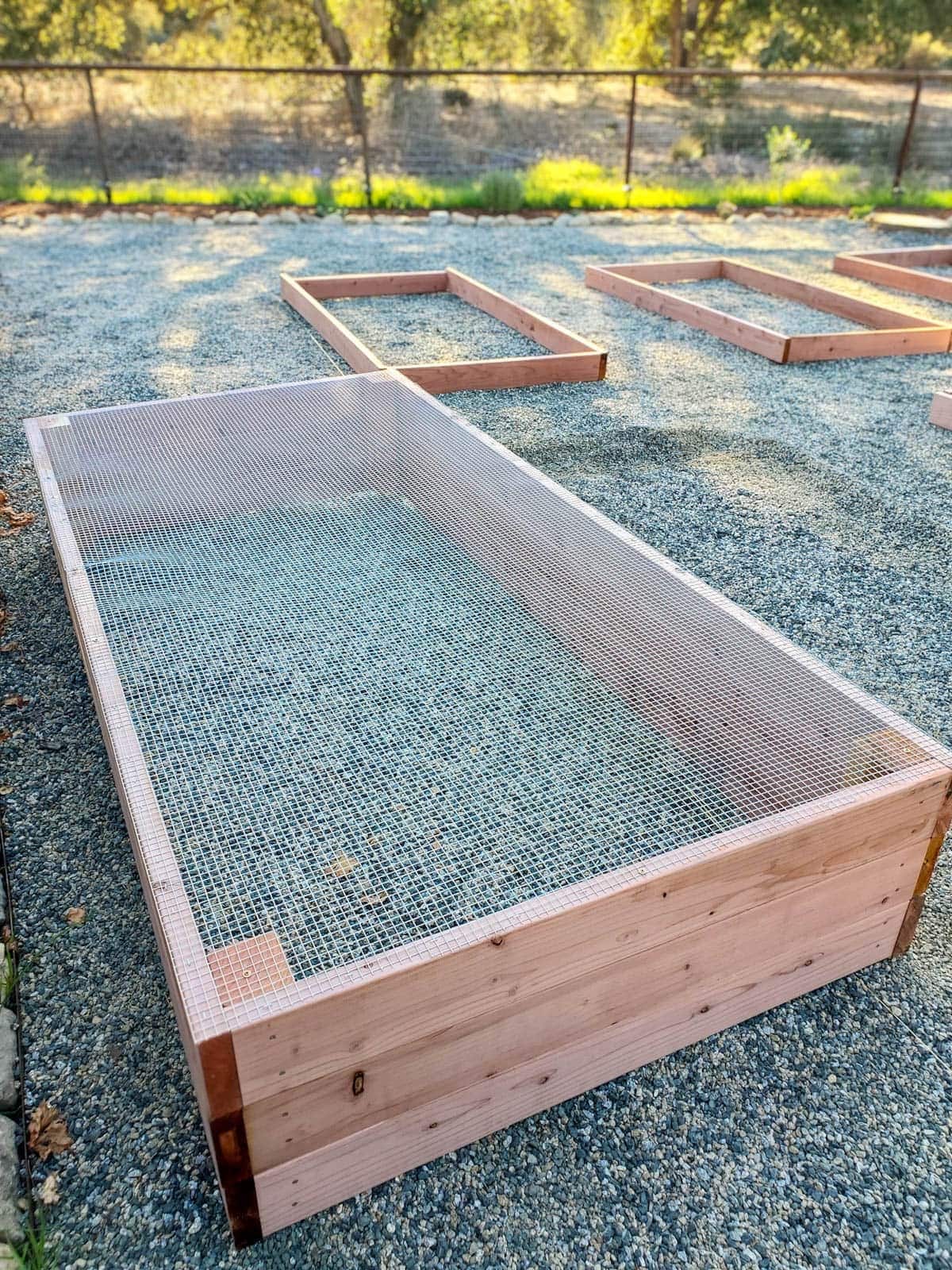 The bottom of a bed has hardware cloth attached to the bottom of it.