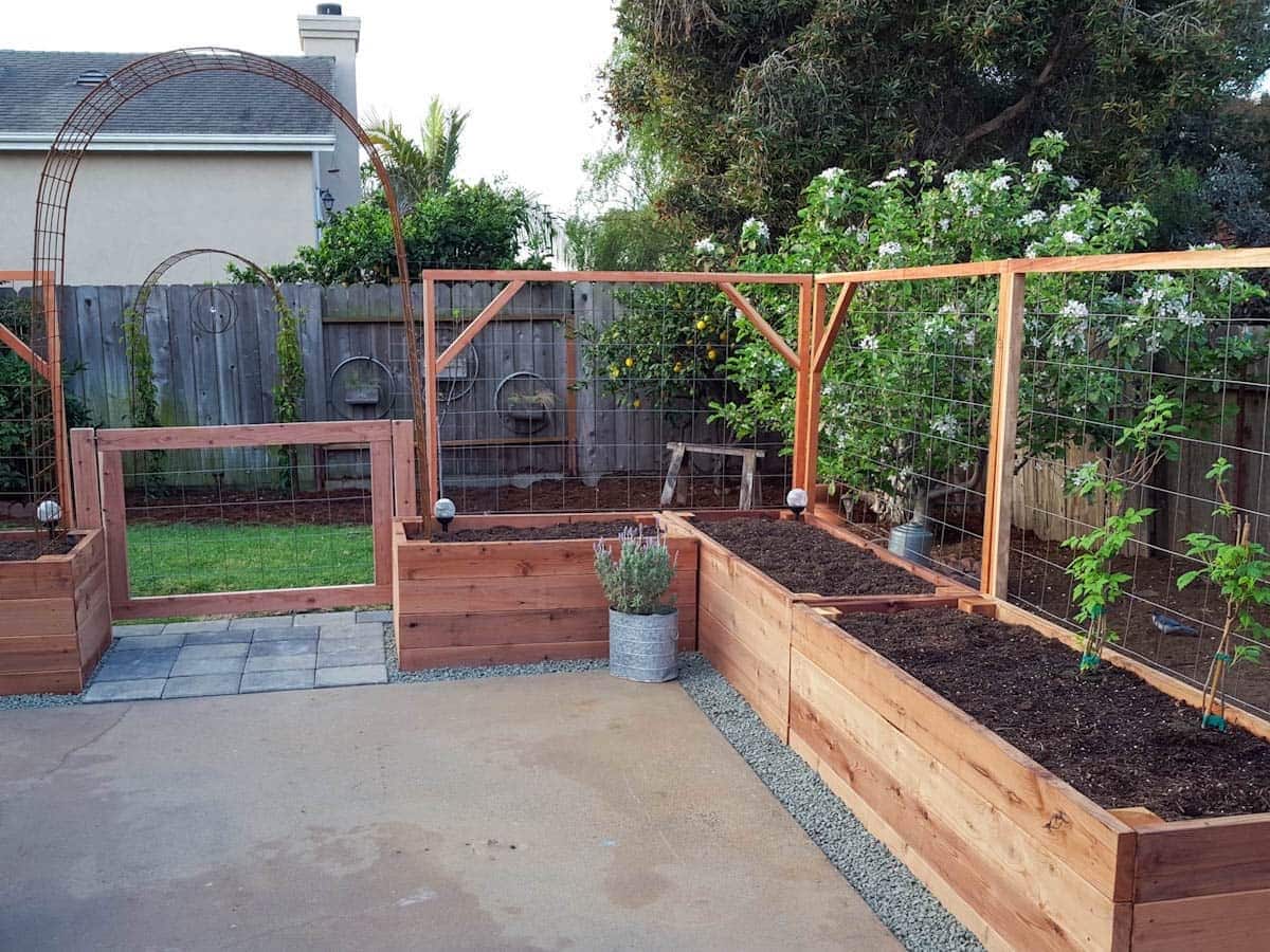 A patio garden space that contains raised garden beds lining the area around the concrete patio.
