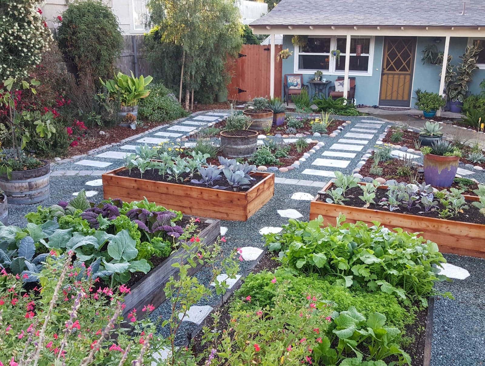 A garden space in a front yard with a house beyond. A variety of vegetables are growing along with many perennials and agave growing in the ground.