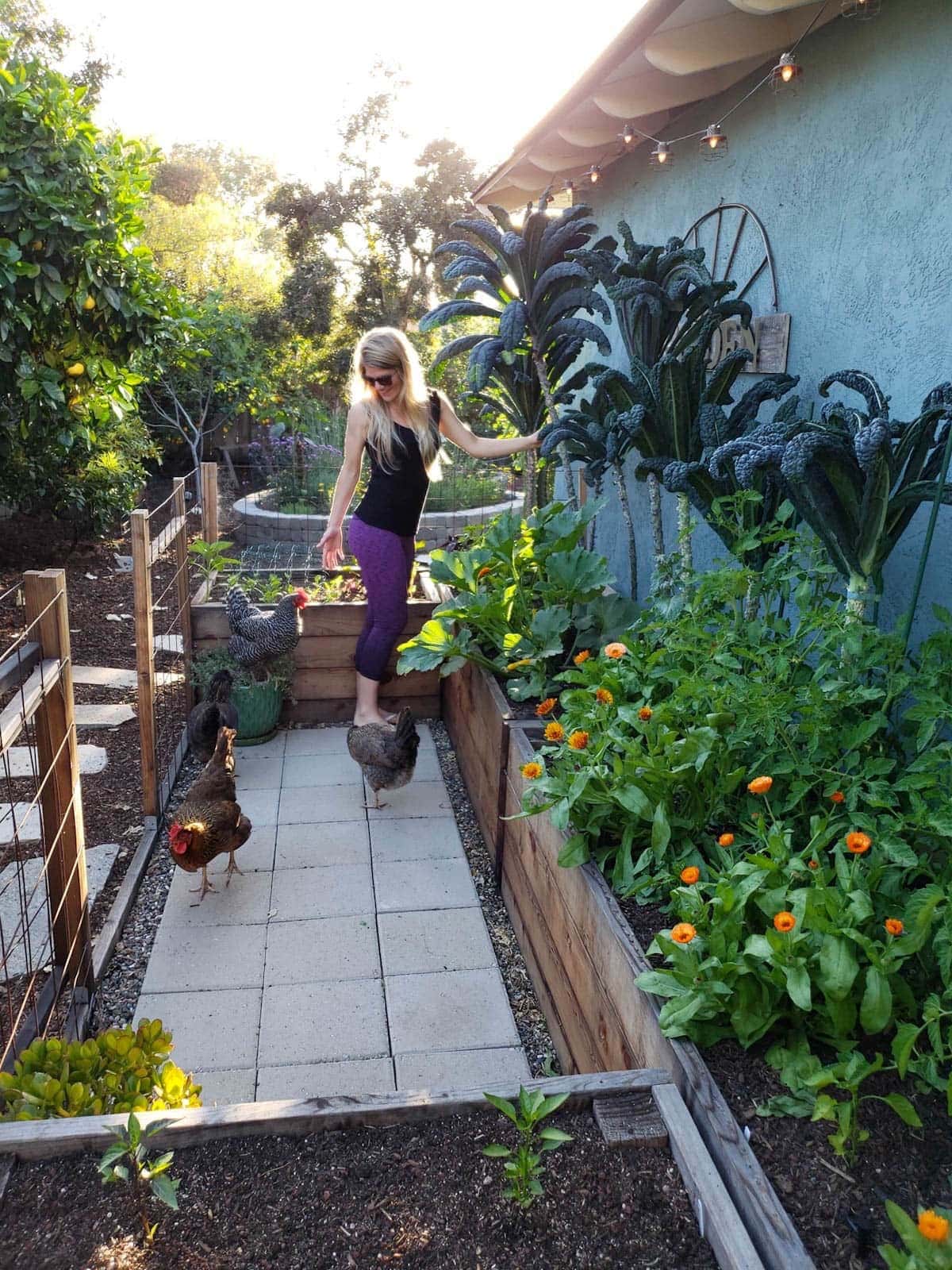 A woman stand in a garden space next to a house where tall kale plants are growing among calendula and summer squash. Chickens are pecking around the area.