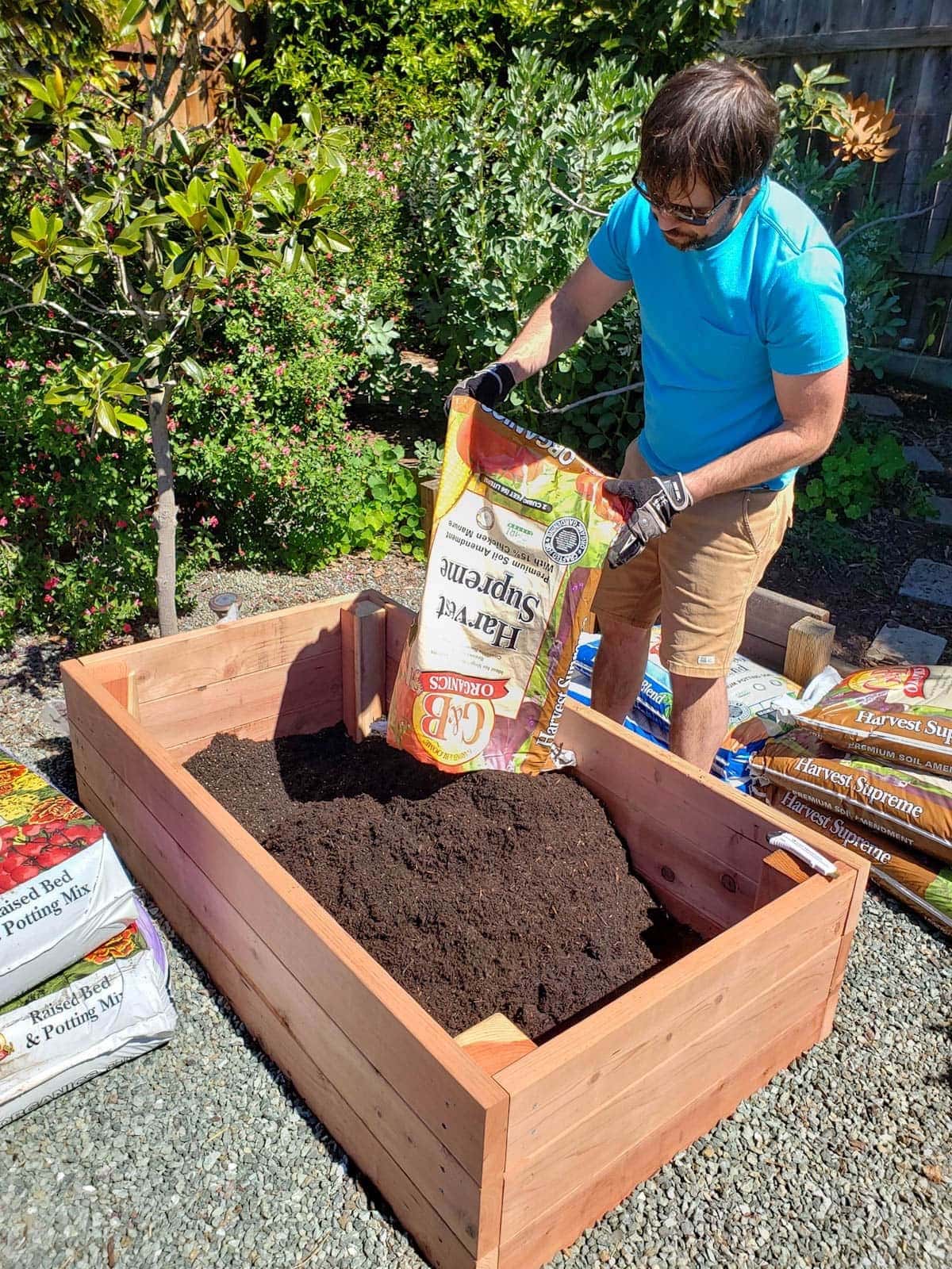 A man filling an almost empty wood raised bed with bagged potting soil, holding and dumping in a bag. It is five foot by three feet, and 18 inches deep. Various bagged soils lay around the outside of it, waiting to be added.