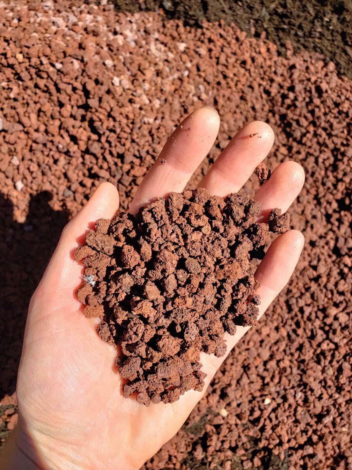 A hand holding small red lava rock pieces, that are being added to the new raised bed.