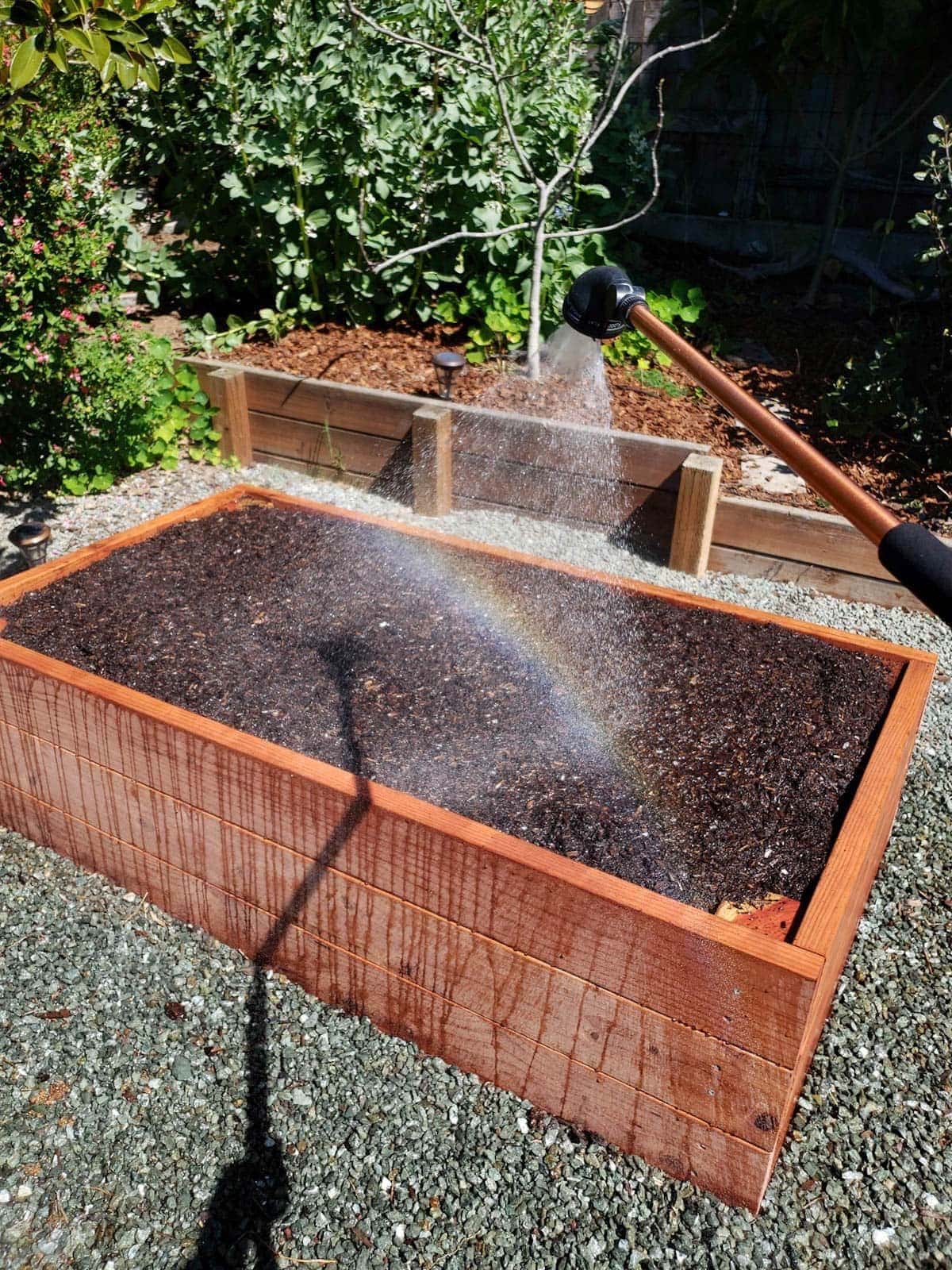 The final raised garden bed for this example, now completely full of soil, compost, and aeration additions. It is being watered, with drips of water running down the side of the bed, and a rainbow has appeared in the water spray.