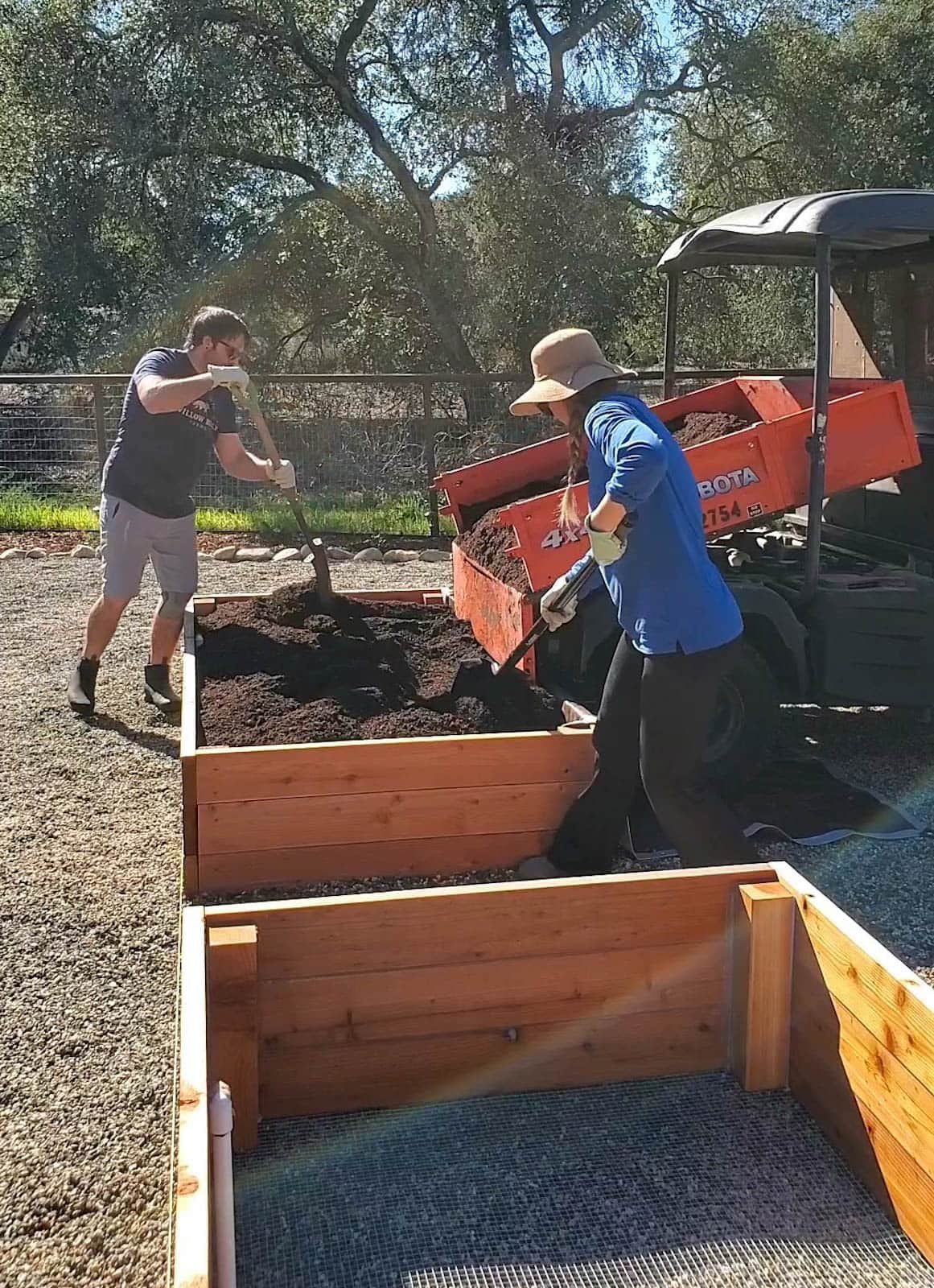 Deanna and Aaron mixing soil in a planter with the help from a Kubota UTV whose bed has been used to dump bulk soil into the planter.