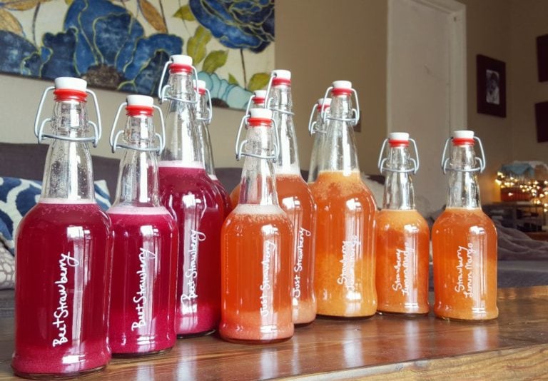Brewing Homemade Kombucha Supplies List Homestead and Chill
