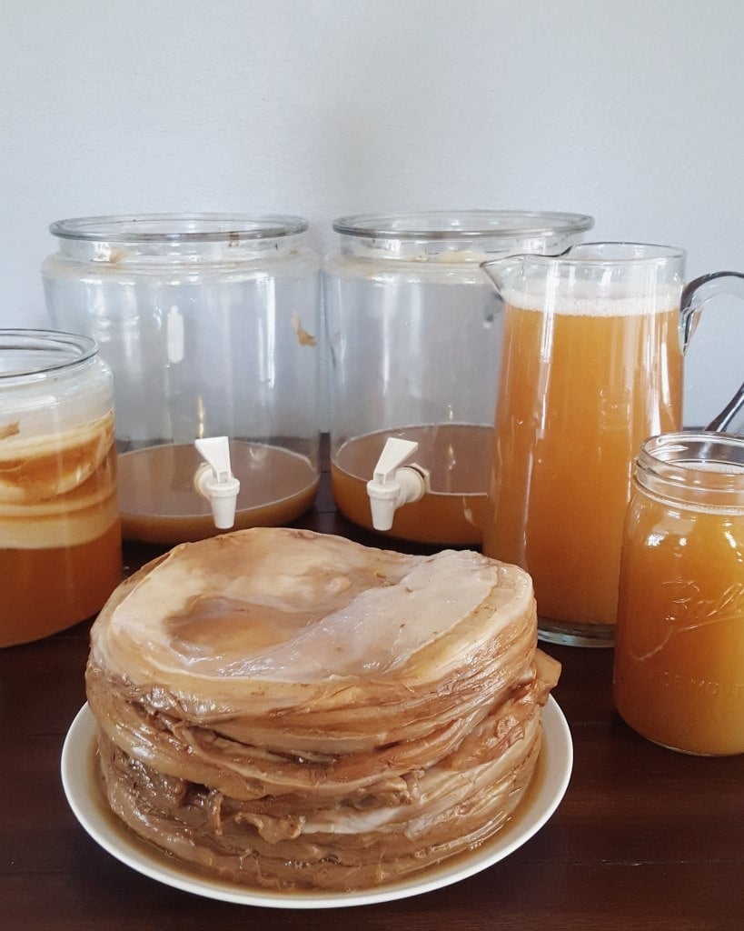 How to Make Kombucha 101 Kombucha Recipe and Brewing Basics
