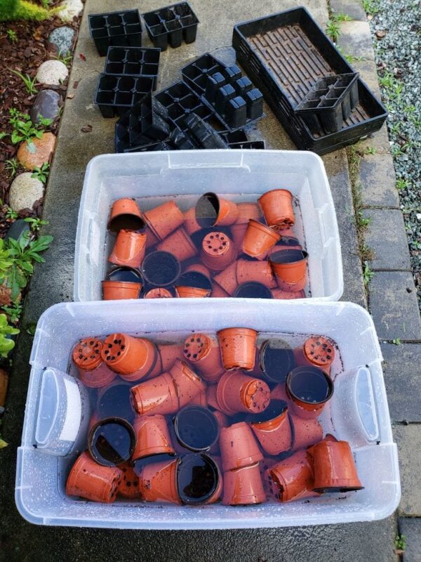 How to Clean and Sanitize Garden & Seedling Supplies Homestead and Chill