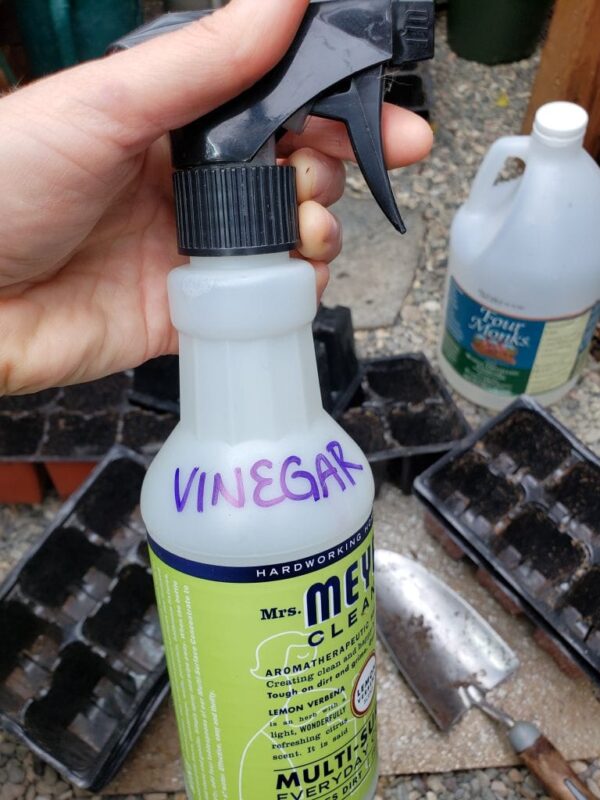 How to Clean and Sanitize Garden & Seedling Supplies Homestead and Chill