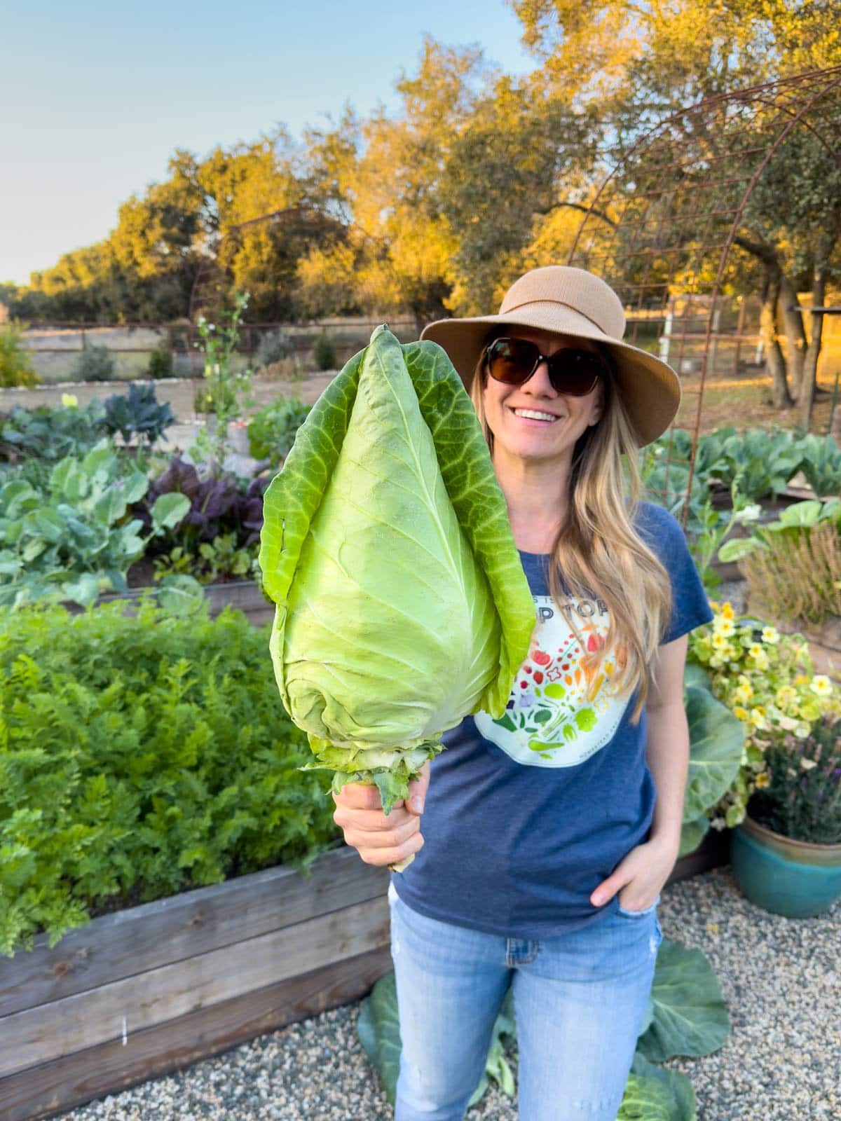How to Make Sauerkraut: Easy Step-by-Step Recipe