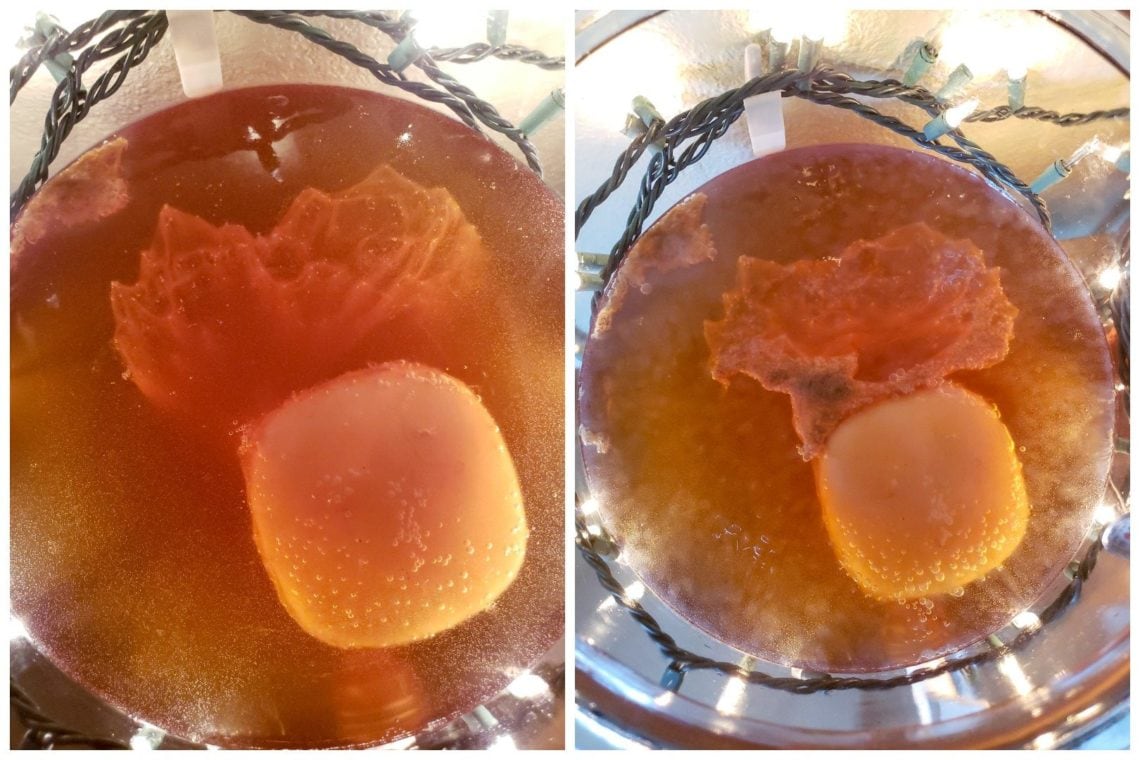 How to Make Kombucha 101 Kombucha Recipe and Brewing Basics