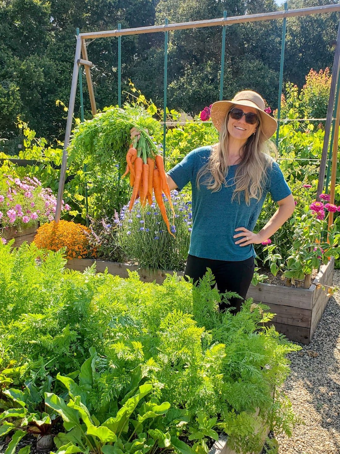 DeannaCat holding a bunch of freshly harvest orange carrots by their green tops. In the foreground is a raised bed full of carrots and beets while a variety of flowers and vegetable grow in raised beds beyond. 