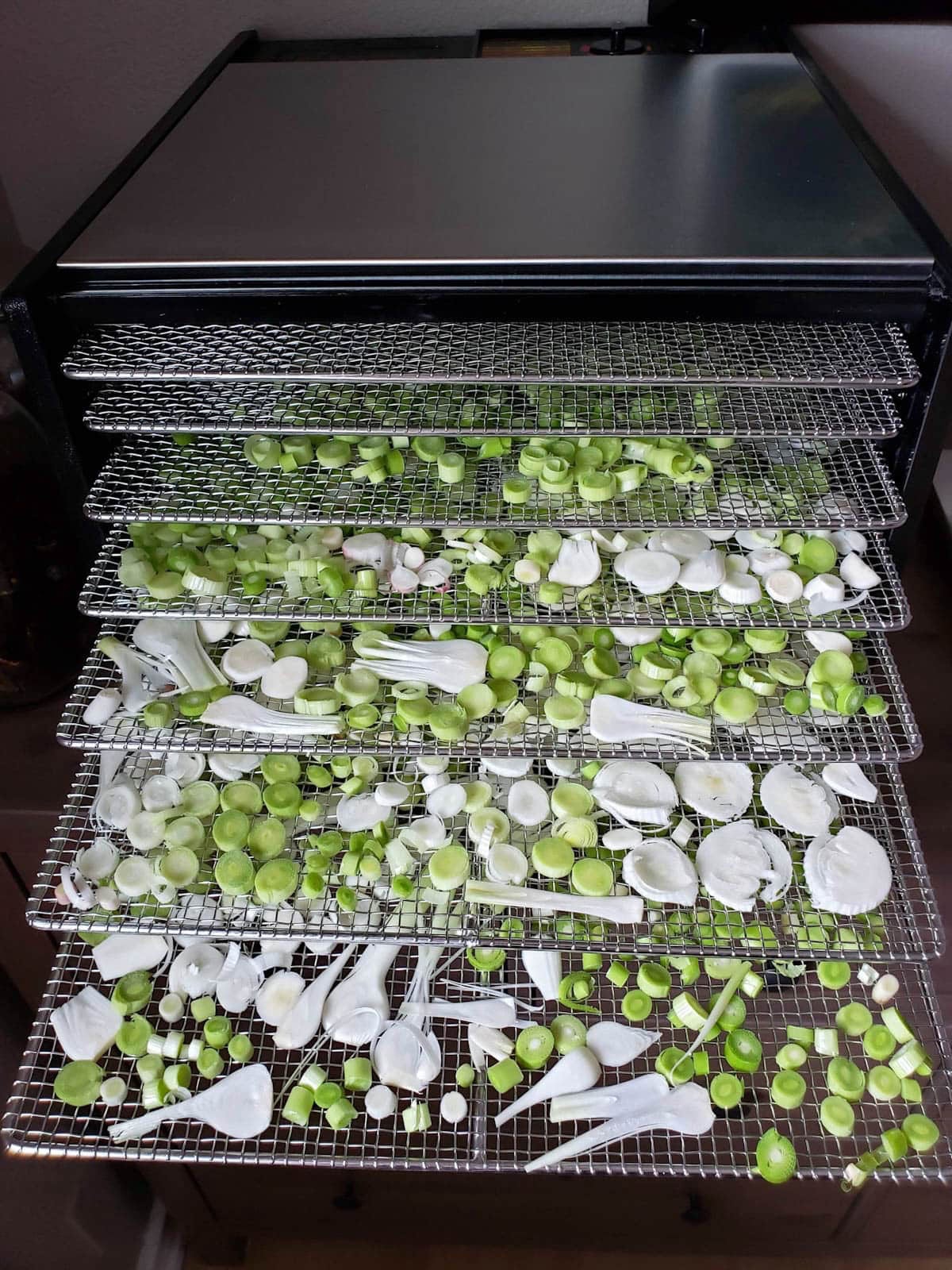 A food dehydrator with stainless steel trays are pulled out in a stair step fashion. Each tray is full of prepared pieces of green garlic to be dried.