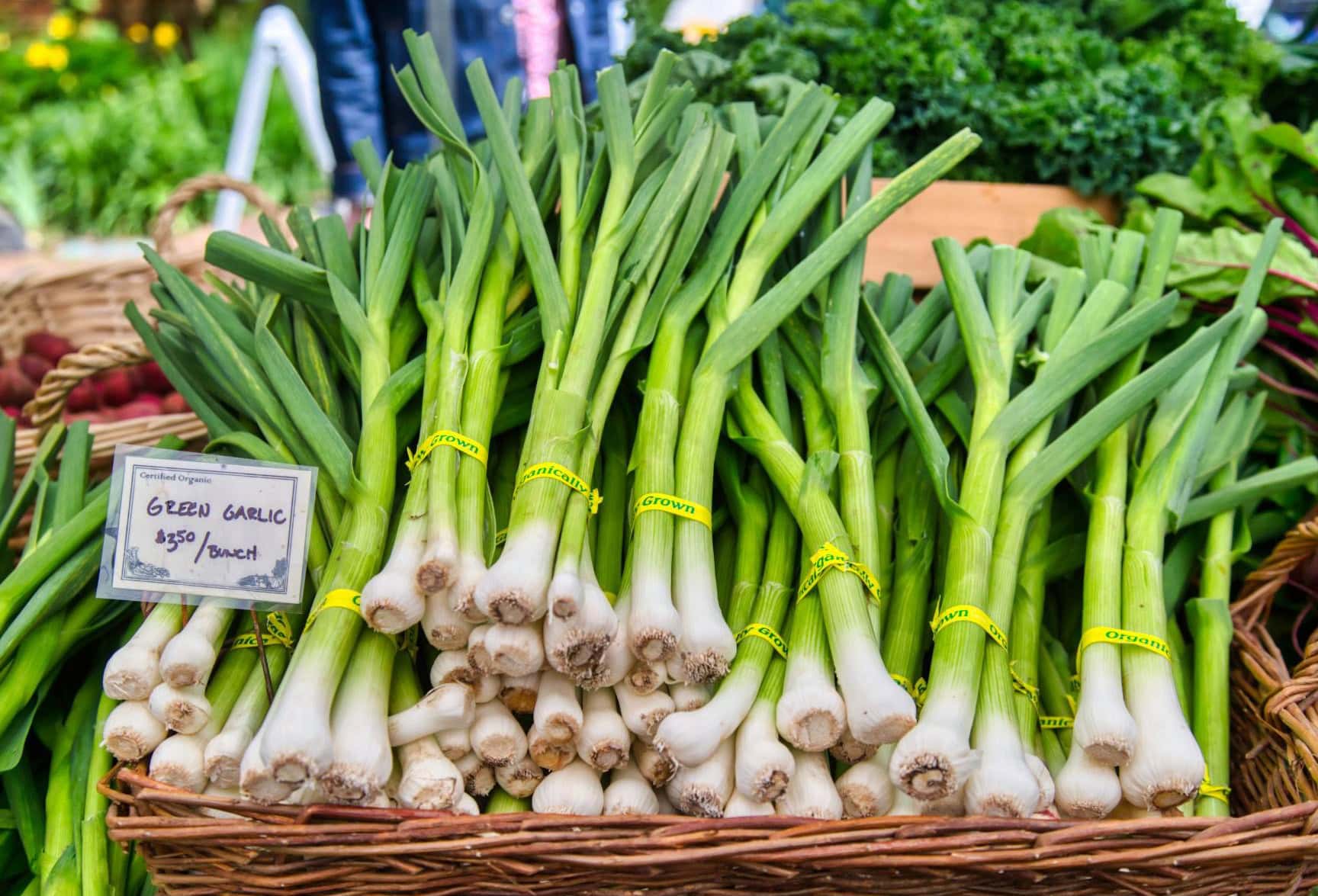 A wicker basket full of bunches of green garlic, a tag is inserted into the basket that reads "green garlic, $3.50/bunch".
