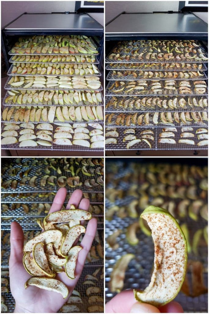 How to Make Simple Apple Cinnamon Chips (or Rings!) in a Dehydrator or