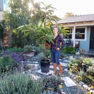 A woman is standing next to a fruit tree that is in a 15 gallon pot. Many flowering perennials, agaves, and a pepper tree are in the background.